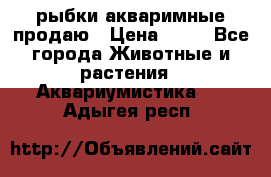 рыбки акваримные продаю › Цена ­ 30 - Все города Животные и растения » Аквариумистика   . Адыгея респ.